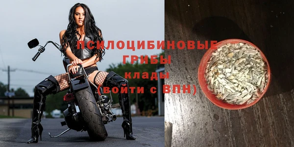 стафф Алексеевка